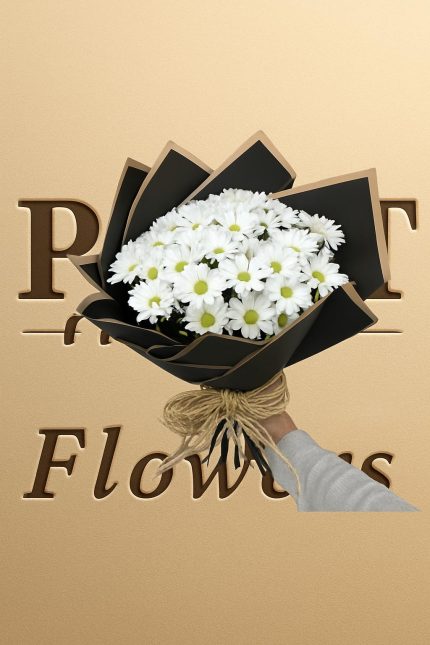 Beyaz Papatyalar BKT0223