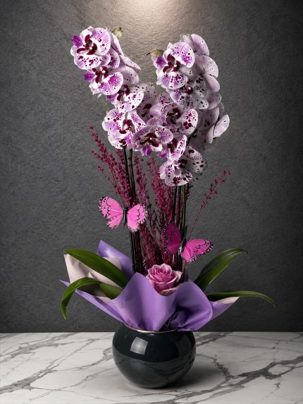 Premium Mor Düş Çift Dal Phalaenopsis Orkide | Point Flowers | Buca Çiçekçi | SLN0005