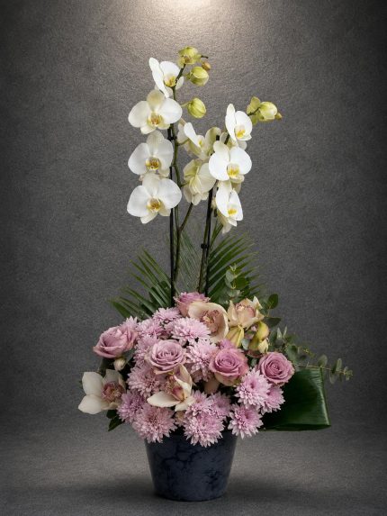 Premium Zarafet Orkide Aranjmanı | Point Flowers | Buca Çiçekçi | SLN0006