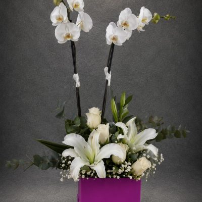 Premium Beyaz Zarafet Orkide Aranjmanı | Point Flowers | Buca Çiçekçi | SLN0009